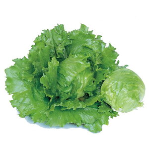 ^X  Gbv231 TJ^  ^l ƒ؉ v   _ ZNg