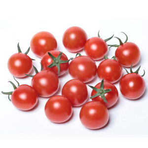 �g�}�g �� �L���������[�� �T�J�^ ��c �c���p ���� ��� �^�l �v������ �ƒ�؉� �_�� �Z���N�g ���� �g�}�g �� �� �g�}�g�̎� �Â� �i�� ��؎� �������� �؉� �ƒ�؉��g�}�g ���R�͔|��� 