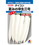 大根 種 夏みの早生三号 タキイ 種苗 家庭菜園 プロ向け 大袋 小袋 農家 セレクト たね タネ