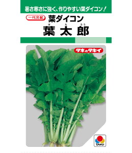 卪  tY ^LC c ƒ؉ v   _ ZNg  ^l