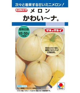   킢`i ^LC c ƒ؉ ؂̎ ؉  v^[͔| x_؉ ƒ؉S |S ȒP͔| ؍ ƍ͔| In͔| nEX͔| nA A R