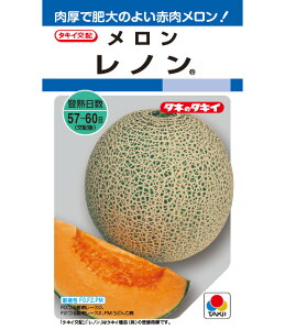 ������ �� ���m�� �^�L�C ��c �ƒ�؉� ��؂̎� �؉� �� �v�����^�[�͔| �x�����_�؉� �ƒ�؉����S�� ���|���S�� �ȒP�͔| ��؍�� ���ƍ͔| �������� �I�n�͔| �n�E�X�͔| �n�A�� ���A