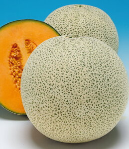   mX^[ y100z ^LC c ƒ؉ ؂̎ ؉  v^[͔| x_؉ ƒ؉S |S ȒP͔| ؍ ƍ͔| In͔| nEX͔| nA