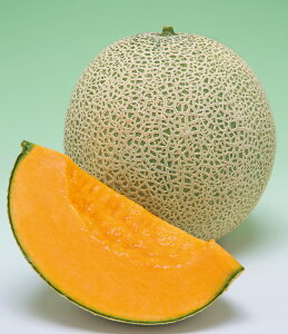   mn[g 100 ^LC c   ƒ؉ v   _ ZNg