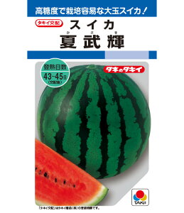 XCJ  ĕP  ^LC c  ƒ؉ v Â ̔ XCJԐF 햳 q  R͔| ʕ ØI XCJ  XCJ̎ XCJ̕c ʂ ʃXC