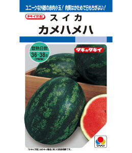 XCJ  Jnn  ^LC c  ƒ؉ v Â ̔ XCJԐF 햳 q  R͔| ʕ ØI XCJ  XCJ̎ XCJ̕c ʂ 