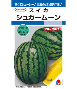 XCJ  VK[[  ^LC c  ƒ؉ v Â ̔ XCJԐF 햳 q  R͔| ʕ ØI XCJ  XCJ̎ XCJ̕c ʂ 