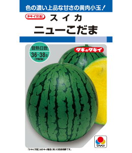 XCJ  j[  ^LC c  ƒ؉ v Â ̔ XCJԐF 햳 q  R͔| ʕ ØI XCJ  XCJ̎ XCJ̕c ʂ 