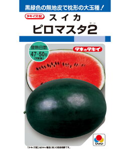 XCJ  s}X^2  ^LC c  ƒ؉ v Â ̔ XCJԐF 햳 q  R͔| ʕ ØI XCJ  XCJ̎ XCJ̕c ʂ 