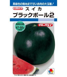 XCJ  ubN{[2  ^LC  ƒ؉ v Â ̔ XCJԐF 햳 q  R͔| ʕ ØI XCJ  XCJ̎ XCJ̕c ʂ 