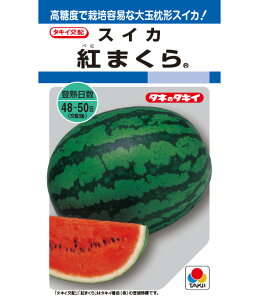 XCJ  g܂  ^LC c  ƒ؉ v Â ̔ XCJԐF 햳 q  R͔| ʕ ØI XCJ  XCJ̎ XCJ̕c ʂ ʃX