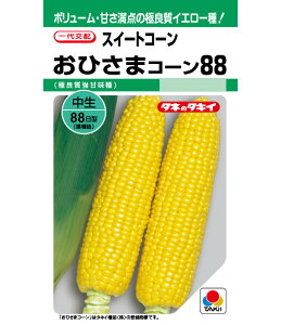 XC[gR[  Ђ܃R[88 ^LC c cp ^l  F gERV   ƒ؉ v   _ ZNg  ܂  Ƃ낱 Â X[v 