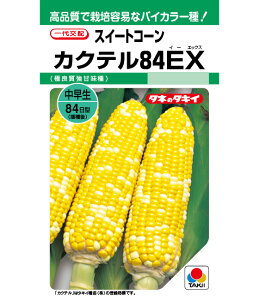 XC[gR[  JNe84EX ^LC c cp ^l  F gERV   ƒ؉ v   _ ZNg  ܂  Ƃ낱 Â X[v  