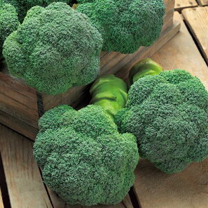 ubR[  `W[SP ^LC c ƒ؉ v   _ ZNg  ^l