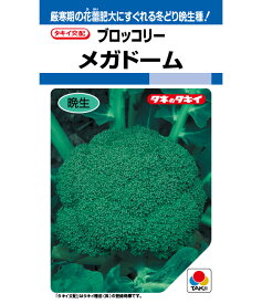 ブロッコリー 種 メガドーム タキイ 種苗 家庭菜園 野菜の種 菜園 畑 プランター栽培 ベランダ菜園 プランター菜園 家庭菜園初心者 園芸初心者 簡単栽培 野菜作り 自家栽培 露地栽培 ハウス栽培 地植え 鉢植え 種まき 家庭用 園芸用 無農薬栽培 有機栽培