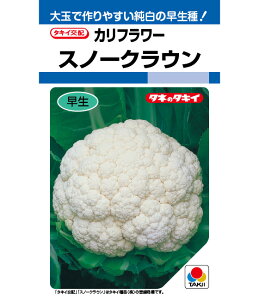 Jt[  Xm[NE ^LC c ƒ؉ v   _ ZNg  ^l