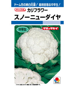 Jt[  Xm[j[_C ^LC c ƒ؉ v   _ ZNg  ^l