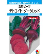 ビーツ 種 デトロイト・ダークレッド タキイ 種苗 家庭菜園 プロ向け 大袋 小袋 農家 セレクト たね タネ…