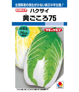   75 ^LC c ƒ؉ nNTC v   _ ZNg  ^l