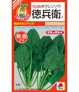 ق  q ^LC c ƒ؉ v   _ ZNg  ^l zE\E @@