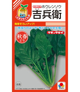 ق  gq ^LC c ƒ؉ v   _ ZNg  ^l zE\E @@