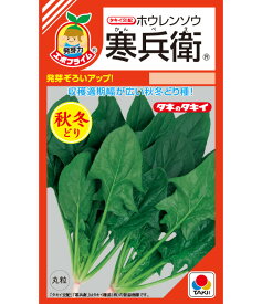 ほうれん草 種 寒兵衛 タキイ 種苗 家庭菜園 プロ向け 大袋 小袋 農家 セレクト たね タネ ホウレンソウ 法蓮草