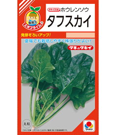 ほうれん草 種 タフスカイ タキイ 種苗 家庭菜園 プロ向け 大袋 小袋 農家 セレクト たね タネ ホウレンソウ 法蓮草