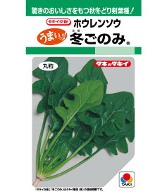 ほうれん草 種 冬ごのみ タキイ 種苗 家庭菜園 プロ向け 大袋 小袋 農家 セレクト たね タネ ホウレンソウ 法蓮草