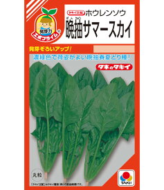 ほうれん草 種 晩抽サマースカイ タキイ 種苗 家庭菜園 プロ向け 大袋 小袋 農家 セレクト たね タネ ホウレンソウ 法蓮草