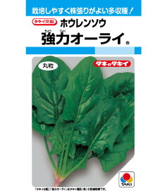 ほうれん草 種 強力オーライ タキイ 種苗 家庭菜園 プロ向け 大袋 小袋 農家 セレクト たね タネ ホウレンソウ 法蓮草