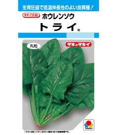 ほうれん草 種 トライ タキイ 種苗 家庭菜園 プロ向け 大袋 小袋 農家 セレクト たね タネ ホウレンソウ 法蓮草