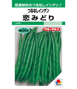 CQ  ݂ǂ Ȃ ^LC c ƒ؉ v   _ ZNg  ^l