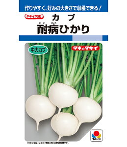 Ju  ϕaЂ ^LC c ƒ؉ v   _ ZNg  ^l  