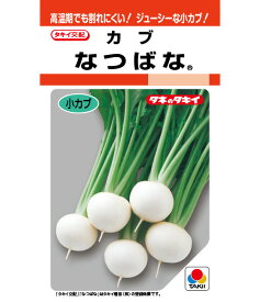 カブ 種 なつばな タキイ 種苗 家庭菜園 プロ向け 大袋 小袋 農家 セレクト たね タネ 蕪 かぶ