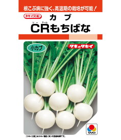 カブ 種 CRもちばな タキイ 種苗 家庭菜園 プロ向け 大袋 小袋 農家 セレクト たね タネ 蕪 かぶ