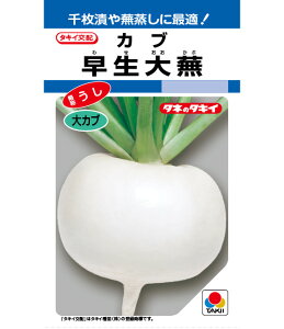 カブ 種 早生大蕪 タキイ 種苗 家庭菜園 プロ向け 大袋 小袋 農家 セレクト たね タネ 蕪 かぶ