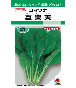   ĊyV ^LC c ƒ؉ v   _ ZNg  ^l R}ci