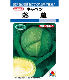 キャベツ 種 彩風 タキイ 種苗 種子 畑 品種 たね 送料無料 キャベツ種 キャベツの種 自然栽培野菜 鉄分 鉄分補給 マグネシウム ビタミンC カルシウム 菜園 畑仕事 種苗 タネ ロールキャベツ キャベツの千切り お酒のおつまみ