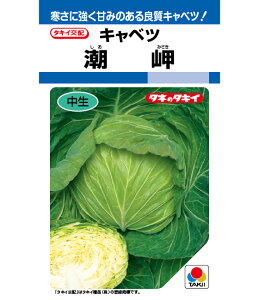 Lxc   ^LC c q  i   Lxc Lxc̎ R͔| S S⋋ }OlVE r^~C JVE ؉ d c ^l [Lxc 