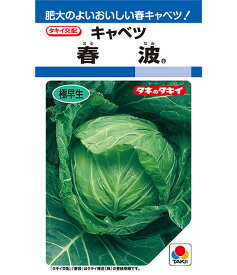 キャベツ 種 春波 タキイ 種苗 種子 畑 品種 たね 送料無料 キャベツ種 キャベツの種 自然栽培野菜 鉄分 鉄分補給 マグネシウム ビタミンC カルシウム 菜園 畑仕事 種苗 タネ ロールキャベツ キャベツの千切り お酒のおつまみ