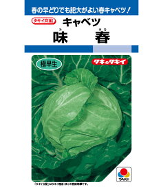 キャベツ 種 味春 タキイ 種苗 種子 畑 品種 たね 送料無料 キャベツ種 キャベツの種 自然栽培野菜 鉄分 鉄分補給 マグネシウム ビタミンC カルシウム 菜園 畑仕事 種苗 タネ ロールキャベツ キャベツの千切り お酒のおつまみ