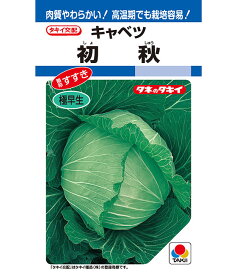 キャベツ 種 初秋 タキイ 種苗 種子 畑 品種 たね 送料無料 キャベツ種 キャベツの種 自然栽培野菜 鉄分 鉄分補給 マグネシウム ビタミンC カルシウム 菜園 畑仕事 種苗 タネ ロールキャベツ キャベツの千切り お酒のおつまみ