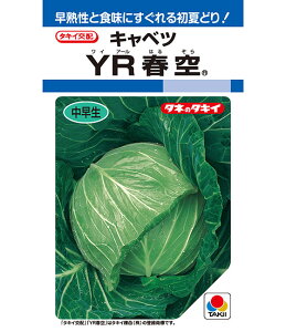 Lxc  YRt ^LC c ƒ؉ v   _ ZNg  ^l ׂ ×