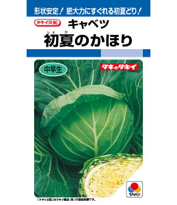 Lxc  Ă̂ق ^LC c ƒ؉ v   _ ZNg  ^l ׂ ×