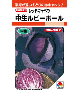 Lxc  r[{[ ^LC c q  i   Lxc Lxc̎ R͔| S S⋋ }OlVE r^~C JVE ؉ d c ^l 