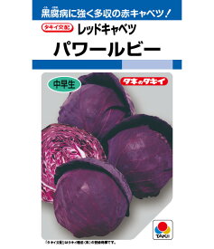 キャベツ 種 パワールビー タキイ 種苗 種子 畑 品種 たね 送料無料 キャベツ種 キャベツの種 自然栽培野菜 鉄分 鉄分補給 マグネシウム ビタミンC カルシウム 菜園 畑仕事 種苗 タネ ロールキャベツ キャベツの千切り お酒のおつまみ