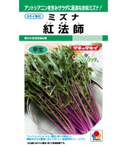   g@t ^LC c ƒ؉ v   _ ZNg  ^l ~Yi ݂