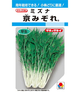 水菜 種 京みぞれ タキイ 種苗 家庭菜園 プロ向け 大袋 小袋 農家 セレクト たね タネ ミズナ みずな