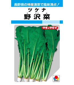   ^LC c ƒ؉ v   _ ZNg  ^l