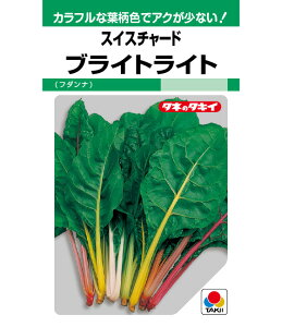 XCX`[h  uCgCg ^LC c ƒ؉ v   _ ZNg  ^l